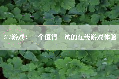 513游戏：一个值得一试的在线游戏体验