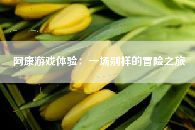 阿康游戏体验：一场别样的冒险之旅