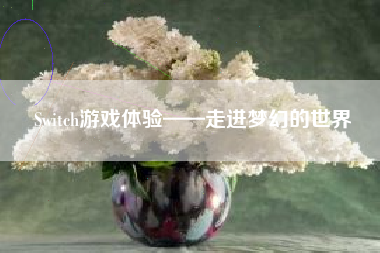 Switch游戏体验——走进梦幻的世界