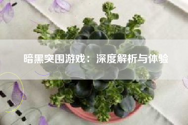 暗黑突围游戏：深度解析与体验