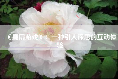 《廉扇游戏》：一种引人深思的互动体验