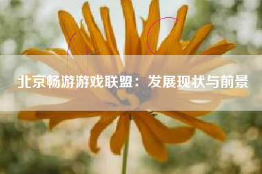 北京畅游游戏联盟：发展现状与前景