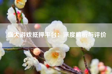 盛大游戏抵押平台：深度解析与评价