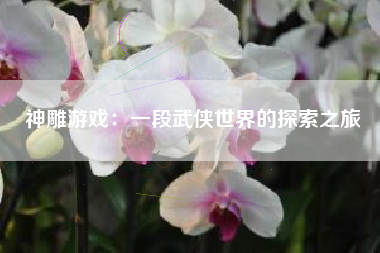 神雕游戏：一段武侠世界的探索之旅